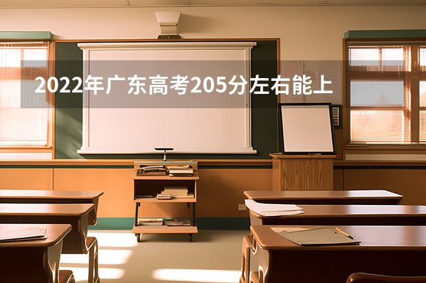 2022年广东高考205分左右能上什么样的大学