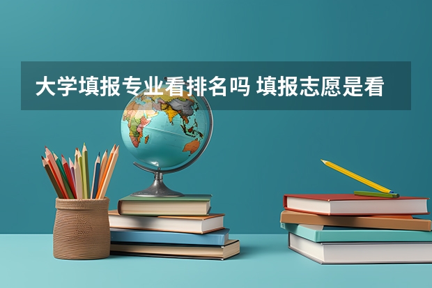 大学填报专业看排名吗 填报志愿是看在省内排名还是看分数？