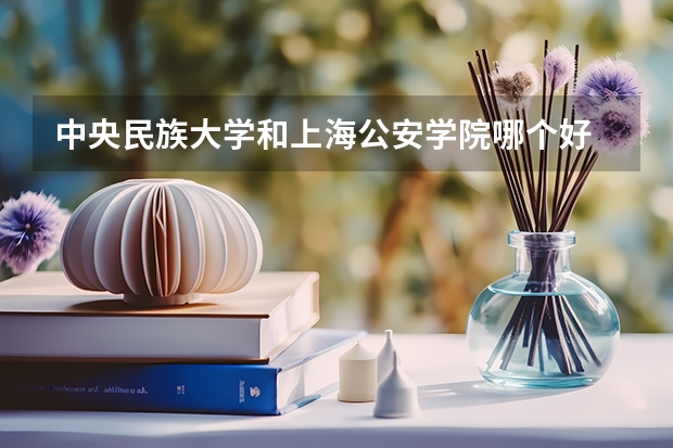 中央民族大学和上海公安学院哪个好 录取分数线对比