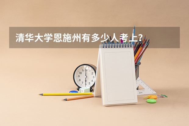 清华大学恩施州有多少人考上？