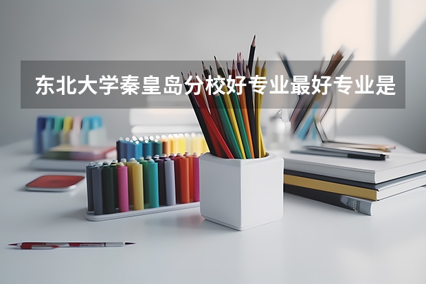东北大学秦皇岛分校好专业最好专业是什么?