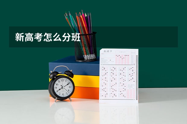 新高考怎么分班