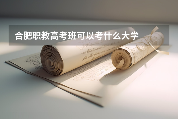 合肥职教高考班可以考什么大学