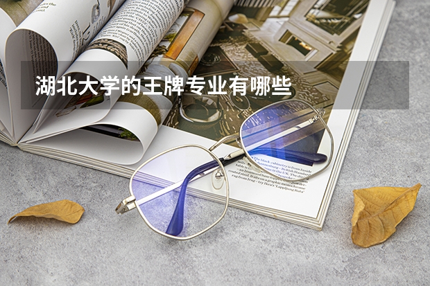 湖北大学的王牌专业有哪些