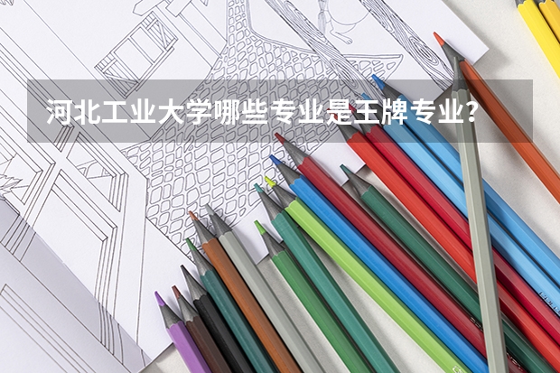 河北工业大学哪些专业是王牌专业?