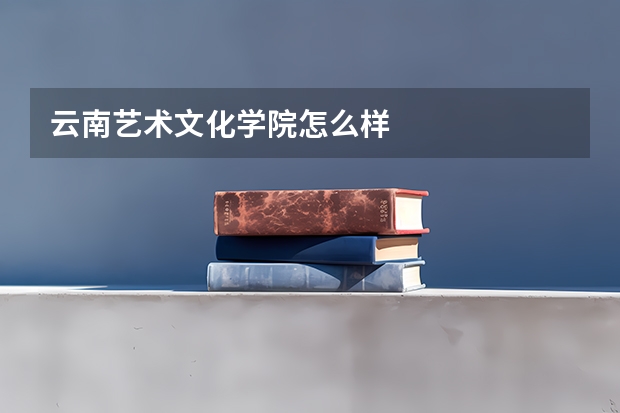 云南艺术文化学院怎么样