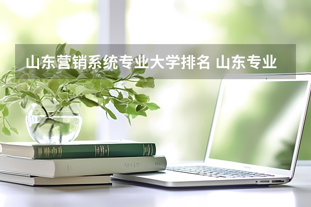 山东营销系统专业大学排名 山东专业大学排行榜