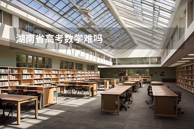 湖南省高考数学难吗