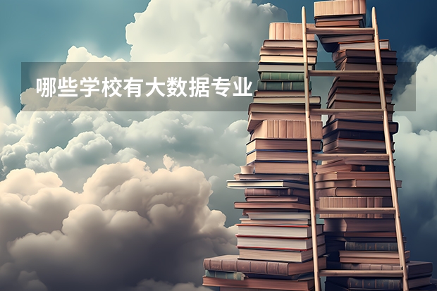 哪些学校有大数据专业
