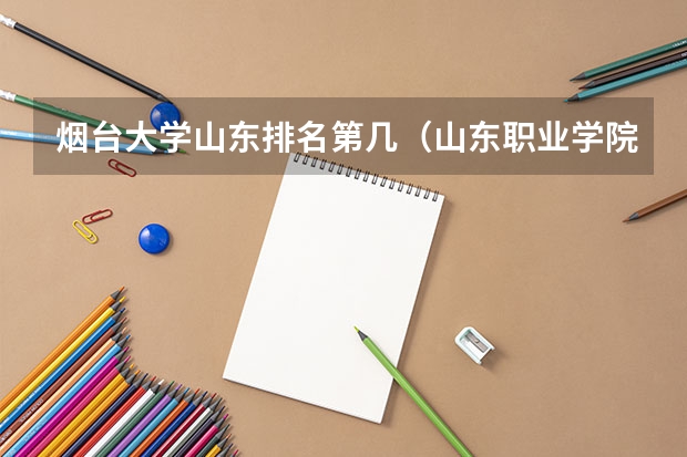 烟台大学山东排名第几（山东职业学院排名第几）