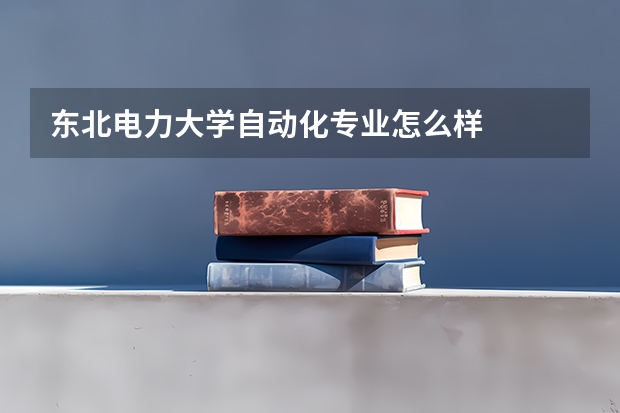 东北电力大学自动化专业怎么样