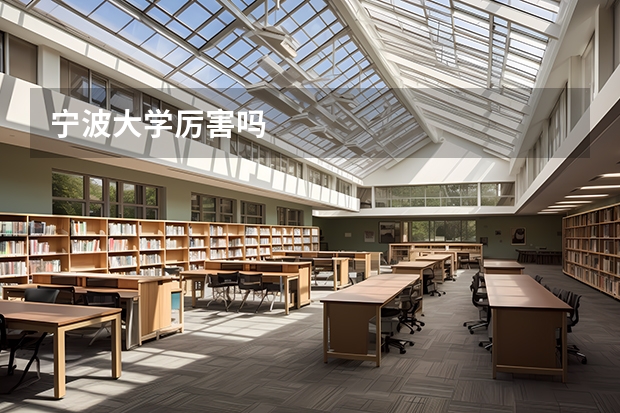 宁波大学厉害吗