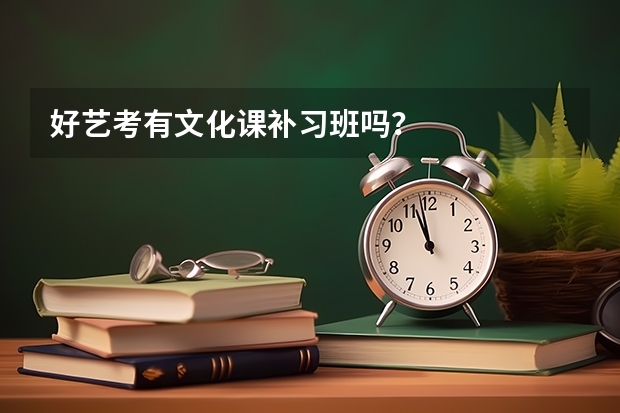 好艺考有文化课补习班吗？