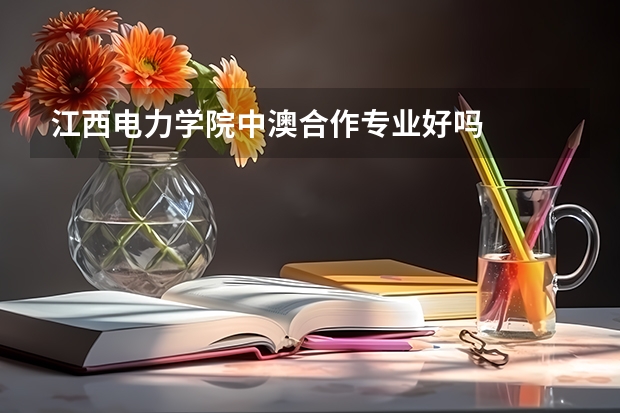 江西电力学院中澳合作专业好吗