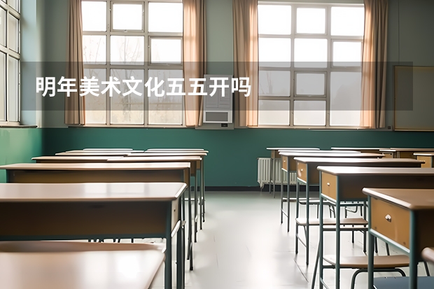 明年美术文化五五开吗