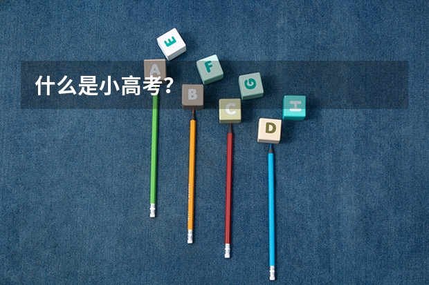 什么是小高考?