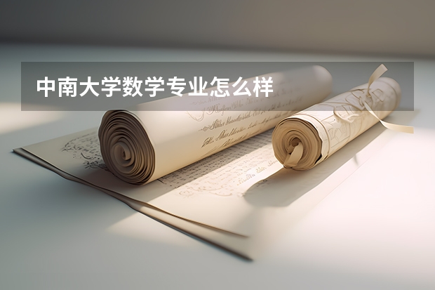 中南大学数学专业怎么样