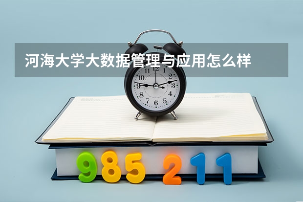 河海大学大数据管理与应用怎么样
