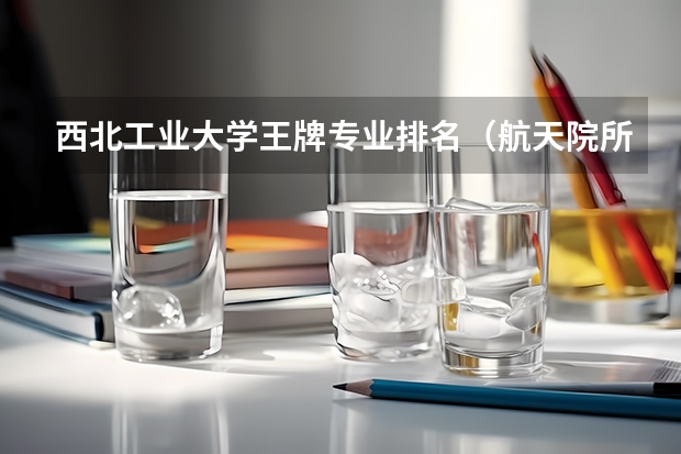 西北工业大学王牌专业排名（航天院所排名）