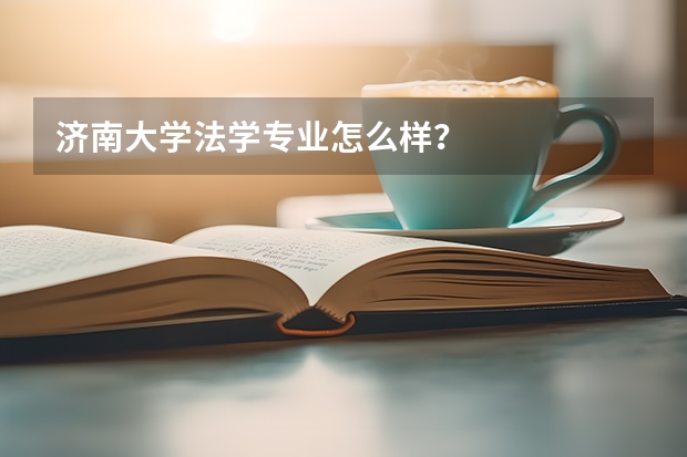 济南大学法学专业怎么样？