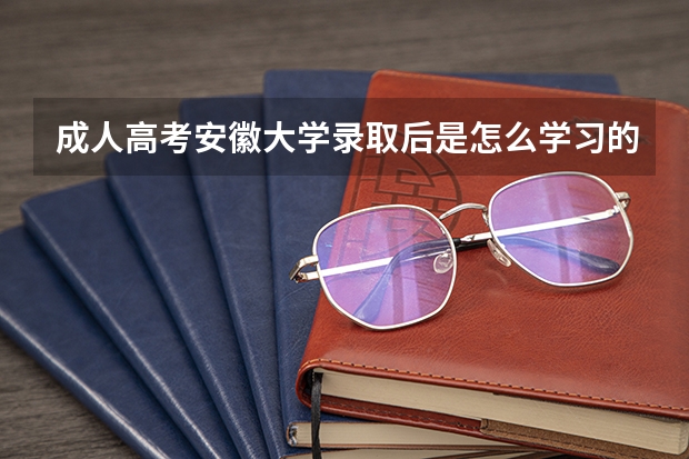 成人高考安徽大学录取后是怎么学习的?