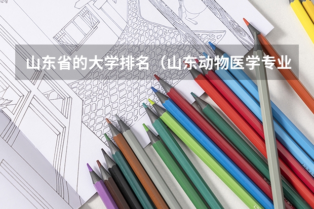 山东省的大学排名（山东动物医学专业大学排名）
