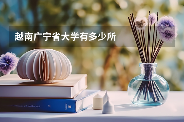 越南广宁省大学有多少所