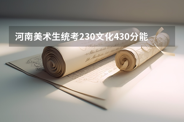 河南美术生统考230文化430分能上本一吗