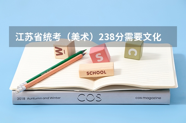 江苏省统考（美术）238分需要文化分多少才能上本科
