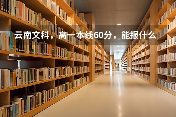 云南文科，高一本线60分，能报什么财经大学，想读注会，谢谢。
