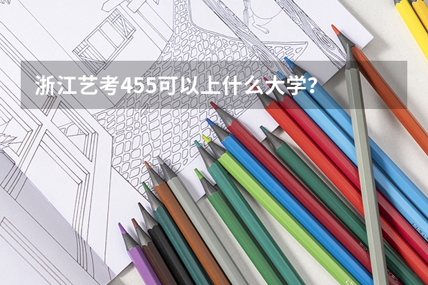 浙江艺考455可以上什么大学?