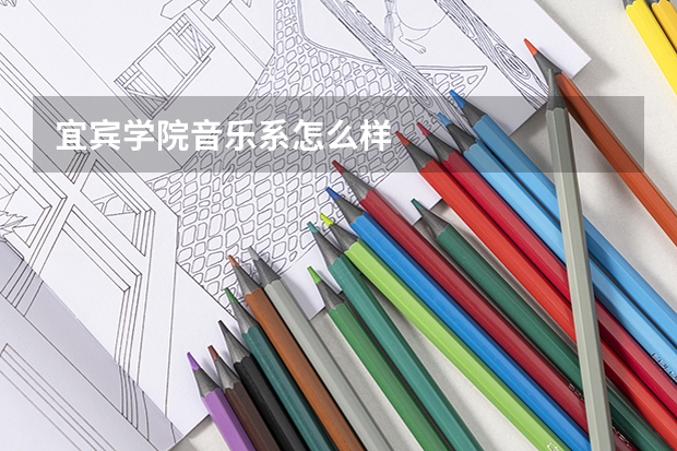 宜宾学院音乐系怎么样