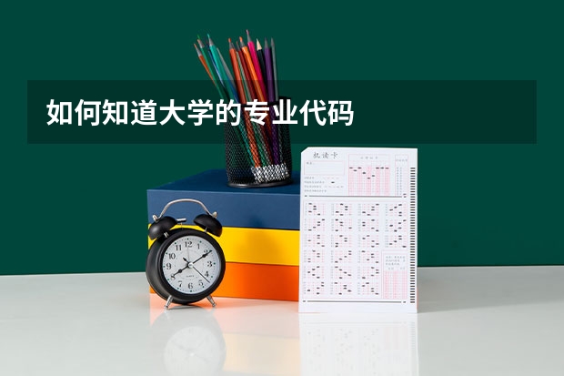 如何知道大学的专业代码