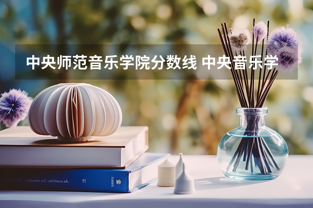 中央师范音乐学院分数线 中央音乐学院分数线