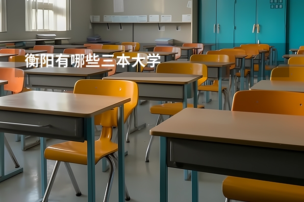 衡阳有哪些三本大学
