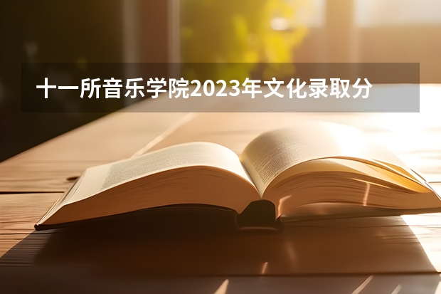 十一所音乐学院2023年文化录取分数线汇总(山西大学音乐系录取分数线2023)