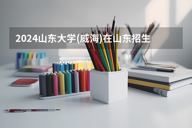 2024山东大学(威海)在山东招生计划（招多少人）