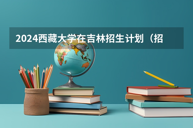 2024西藏大学在吉林招生计划（招多少人）