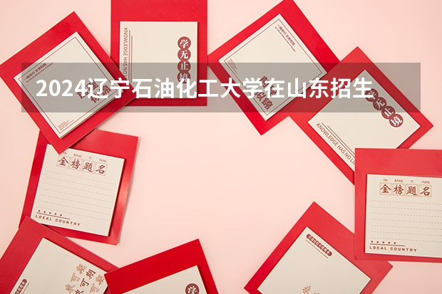 2024辽宁石油化工大学在山东招生计划（招多少人）