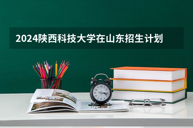 2024陕西科技大学在山东招生计划（招多少人）