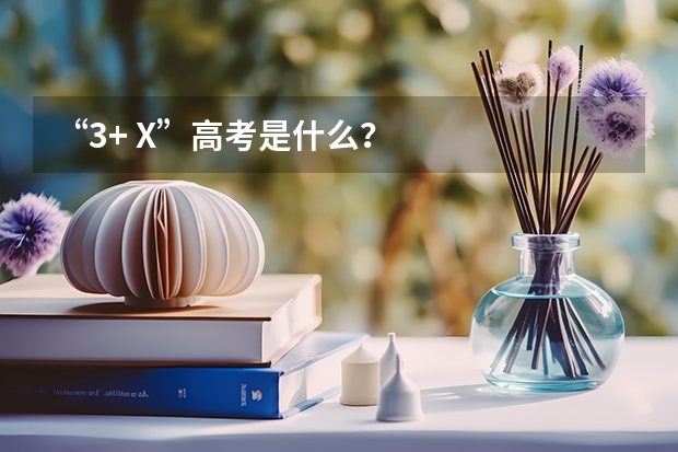 “3+ X”高考是什么?