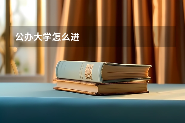 公办大学怎么进