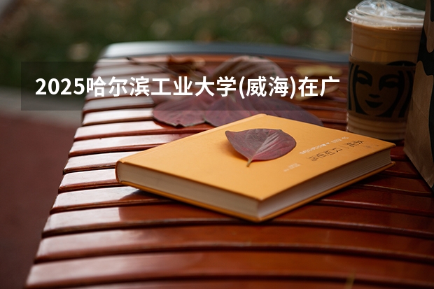 2025哈尔滨工业大学(威海)在广东招生计划（招多少人）