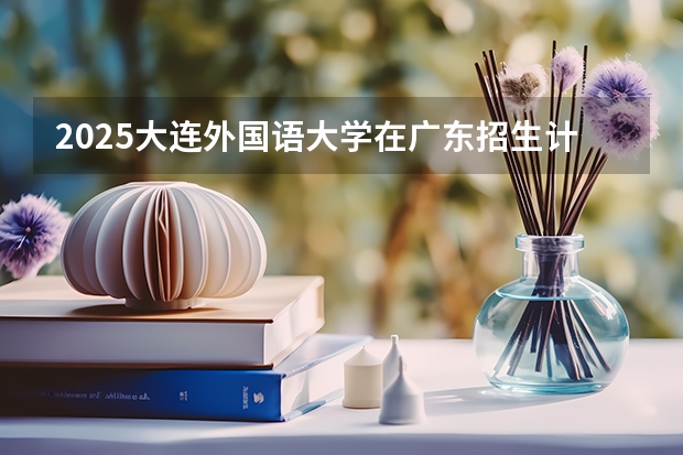 2025大连外国语大学在广东招生计划（招多少人）