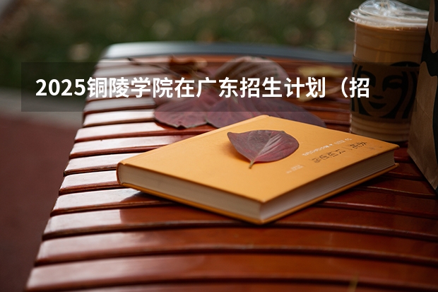 2025铜陵学院在广东招生计划（招多少人）