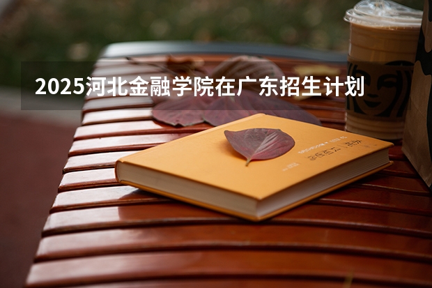 2025河北金融学院在广东招生计划（招多少人）