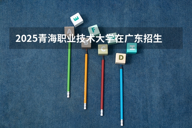 2025青海职业技术大学在广东招生计划（招多少人）