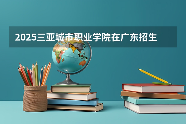2025三亚城市职业学院在广东招生计划（招多少人）