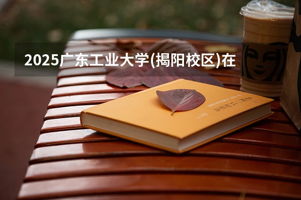 2025广东工业大学(揭阳校区)在广东招生计划（招多少人）