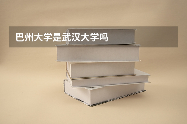 巴州大学是武汉大学吗